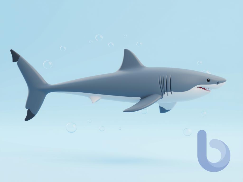 shark